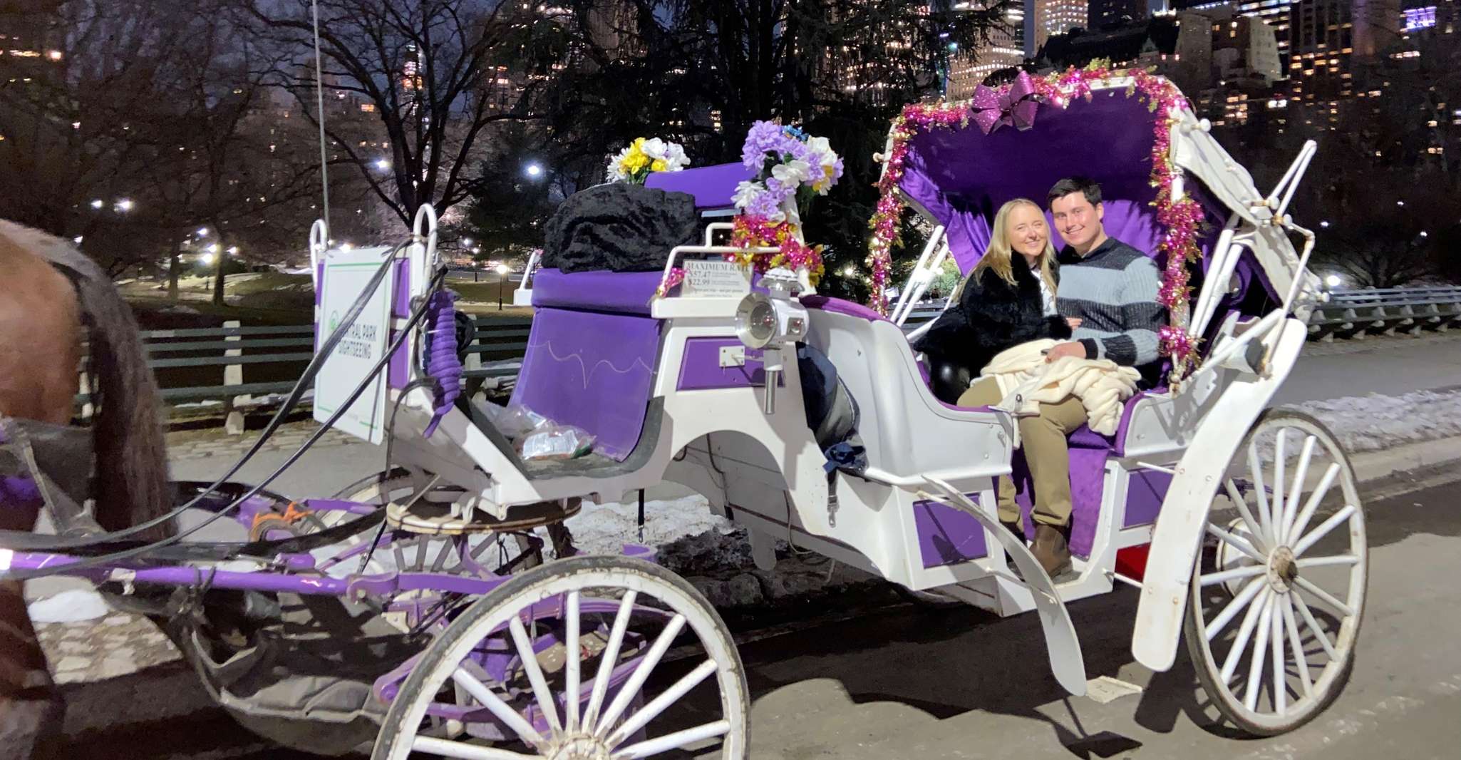 NYC, Guided Central Park Horse Carriage Ride - Housity