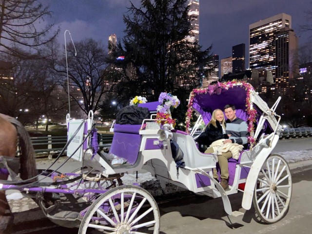 Visit NYC Christmas Lights Private Horse Carriage Ride in New York City