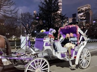 NYC, paseo guiado de carruaje de caballos de Central Park - Housity