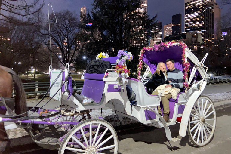 NYC: Paseo Privado en Coche de Caballos por las Luces de Navidad