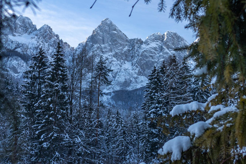 From Ljubljana/Bled: Winter Bohinj & Kranjska Gora Day Trip From Bled — Pickup at your accommodation