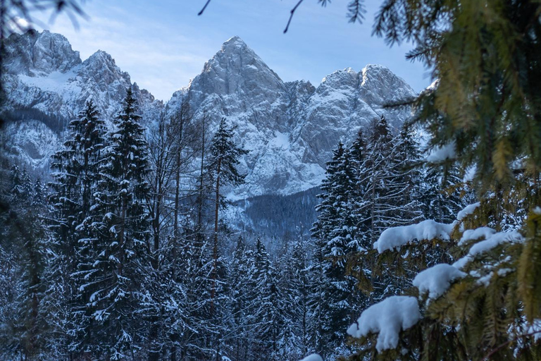 From Ljubljana/Bled: Winter Bohinj & Kranjska Gora Day Trip From Bled — Pickup at your accommodation