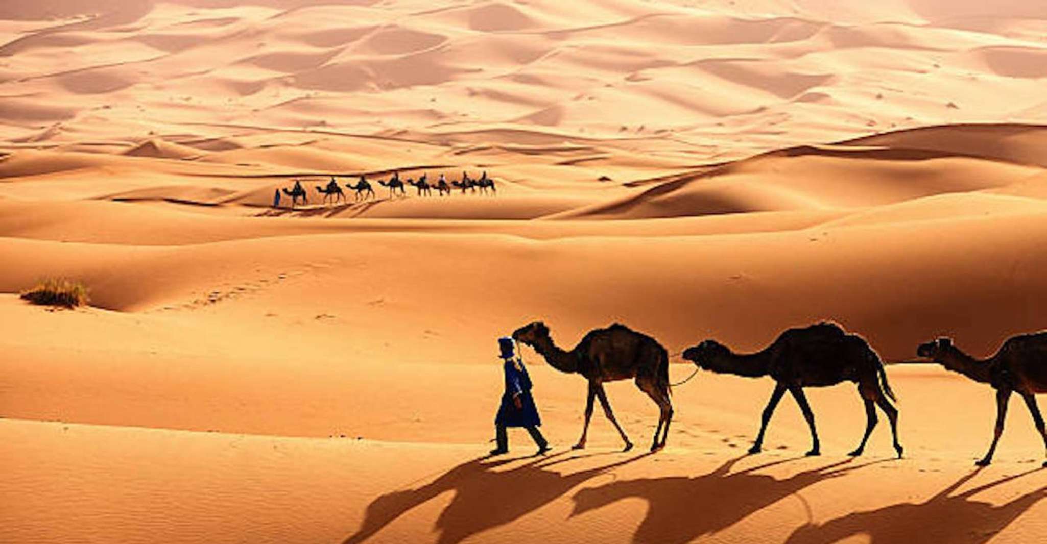 Da FES, tour del deserto di 3 giorni a Marrakech con alloggio - Housity