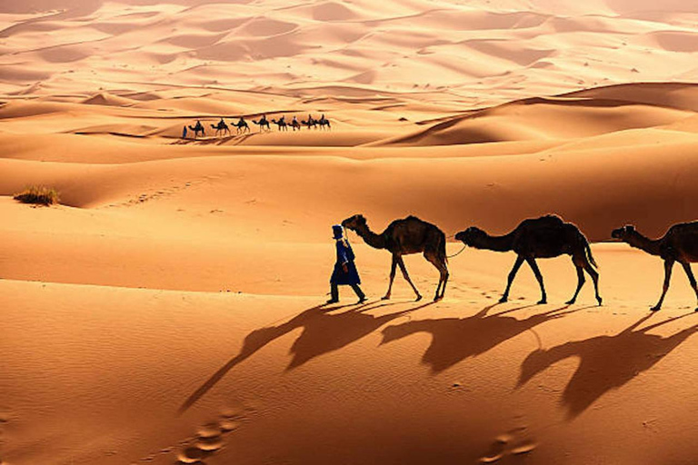 From Fes to Marrakech: 3-Day Sahara Desert Discovery TourTour with Standard Tent