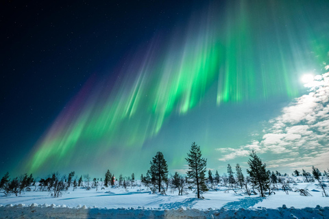 Tromsø: Excursión guiada a la Aurora Boreal con avistamientos garantizados