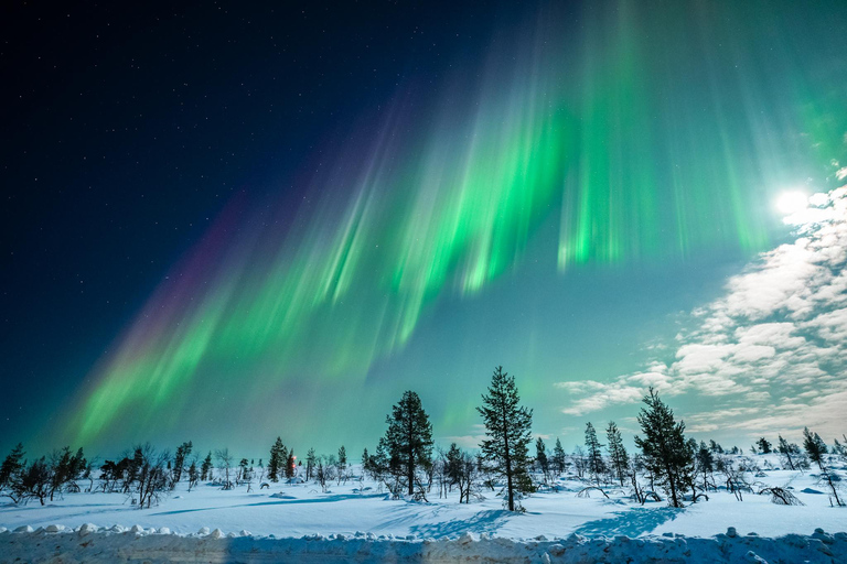 Tromsø: Excursão à aurora boreal com avistamentos garantidos