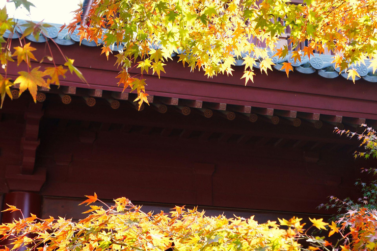 Kyoto: Private Luxury Tour With Vehicle (Customizable)