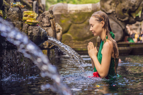 Bali : Purification at the Holy Water Temple & Waterfall Include Roundtrip Transfer Ubud Area Only