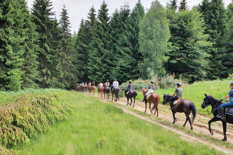 Bucarest : Randonnée à cheval dans la nature et déjeuner traditionnel