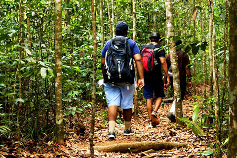 Sinharaja Rain Forest UNESCO Walk and Bird Watching Day Tour Sinharaja Endemics: Rain Forest UNESCO Bird Watching Day