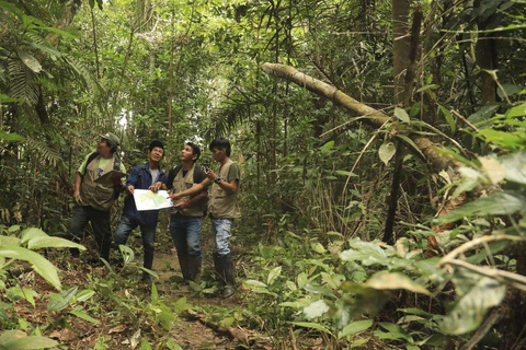 Cruzeiro de 4 dias pela Amazônia e Ucayali