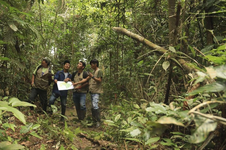 Croisière de 4 jours en Amazonie et Ucayali