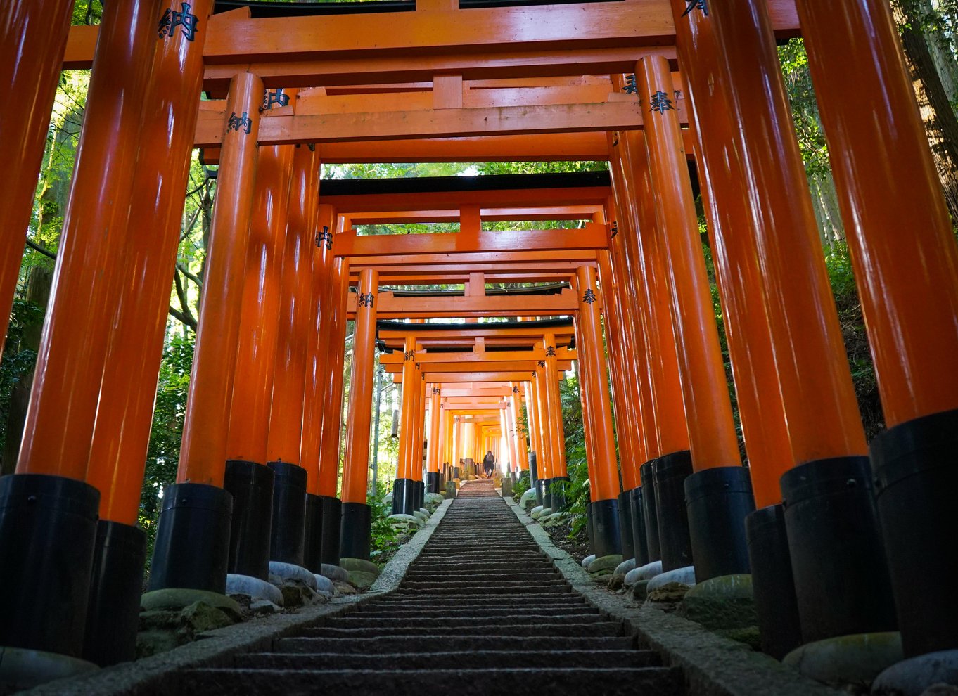 Kyoto: 3-timers skjult vandretur til Fushimi Inari-helligdommen