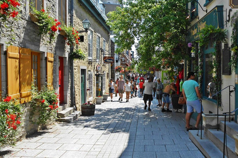 From Montreal: Quebec City Day Trip with Free Pickup