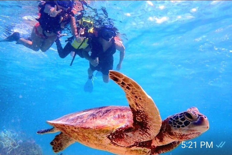 Oahu: Full-Day Tour with Snorkeling, Free Wi-Fi & Free Perks