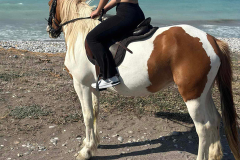 Rhodes : Randonnée à cheval avec photos numériquesRandonnée équestre matinale à la campagne