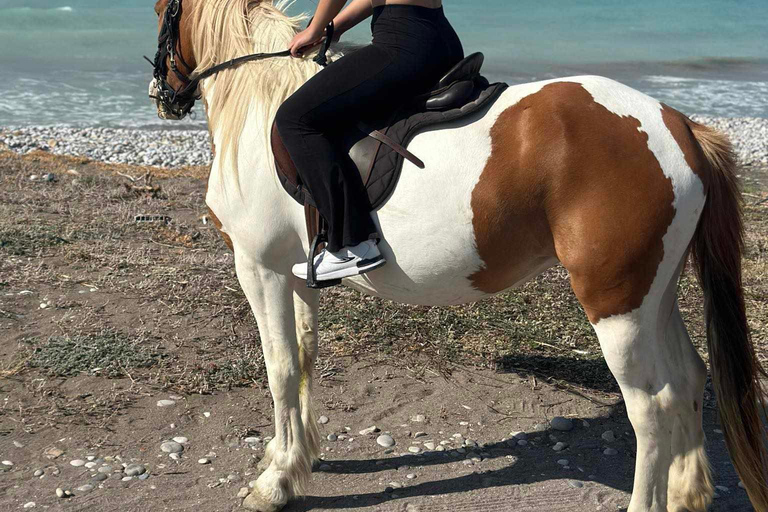 Rhodes : Randonnée à cheval avec photos numériquesRandonnée équestre matinale à la campagne