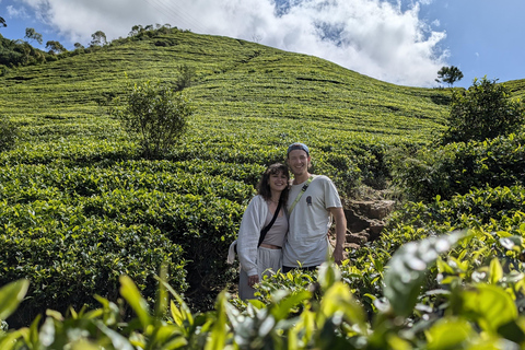 Sri Lanka: 15-Day Guided Tour with Transfers & Hotels