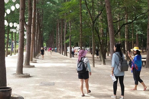 Seoul: Nami Island & Petite France K-Drama Tour