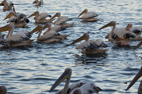 Äthiopien: 29-tägige Tour durch den Norden, Osten und Süden
