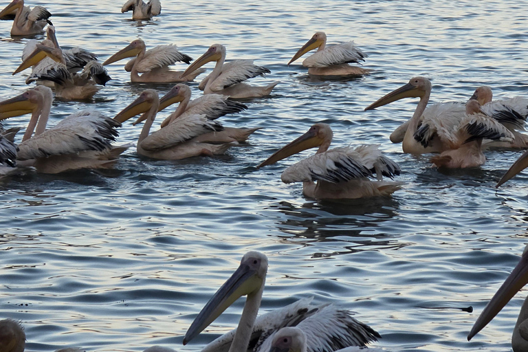 Äthiopien: 29-tägige Tour durch den Norden, Osten und Süden