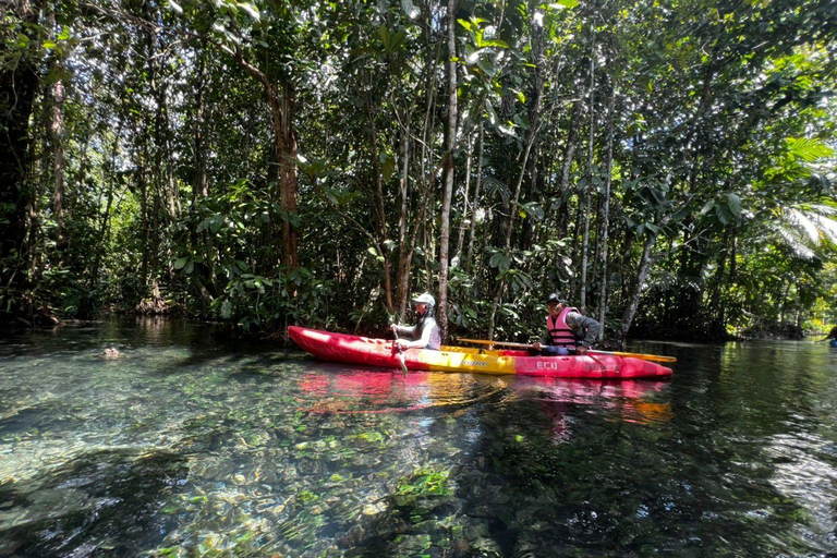 Klong Rud kajakken met hotel transfer