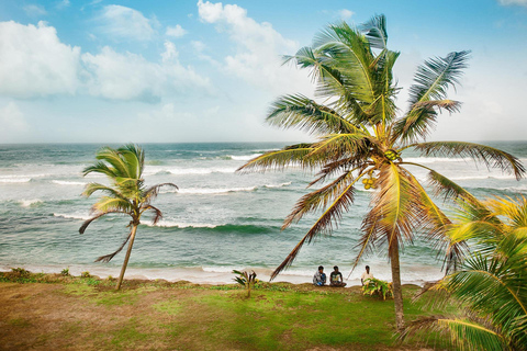 Sri Lanka Tea Estate & Galle Iconic Coastal Train Experience