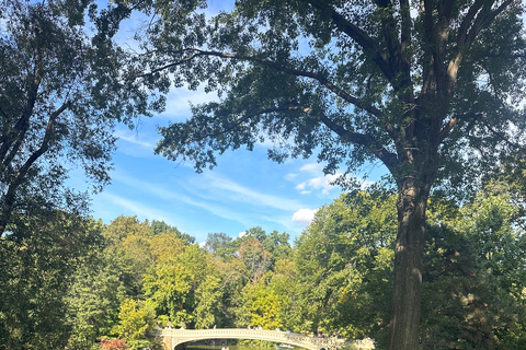 NYC : Visite guidée de Central Park en cyclo-pousse