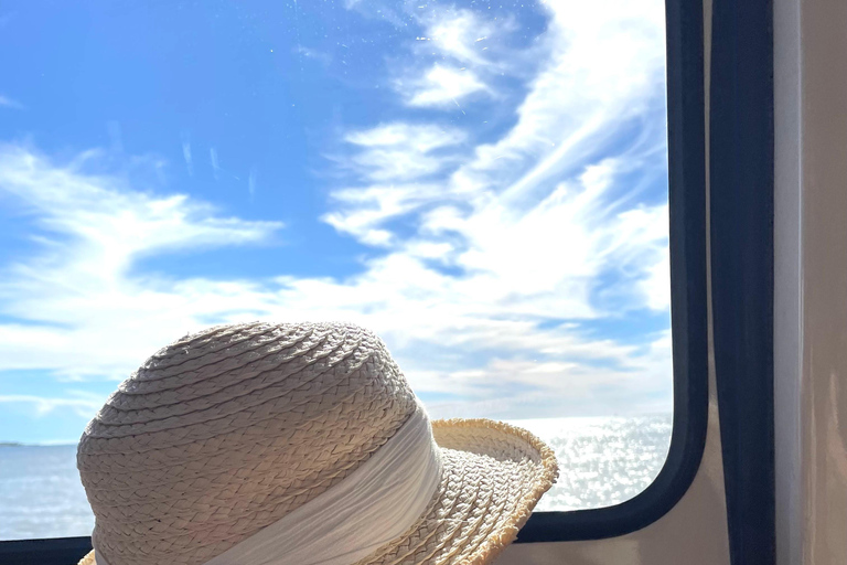 Cannes: City Tour in a Vintage Bus