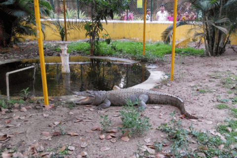 From Bangalore: Nagpur Heritage and Temple Day Trip