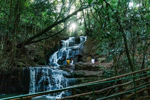 Nairobi: Trilho natural e caminhada na floresta de Karura