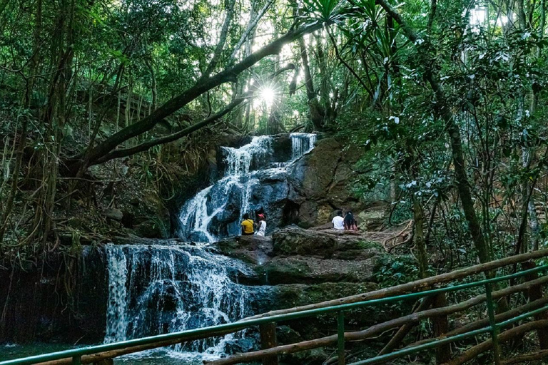 Nairobi: Trilho natural e caminhada na floresta de Karura