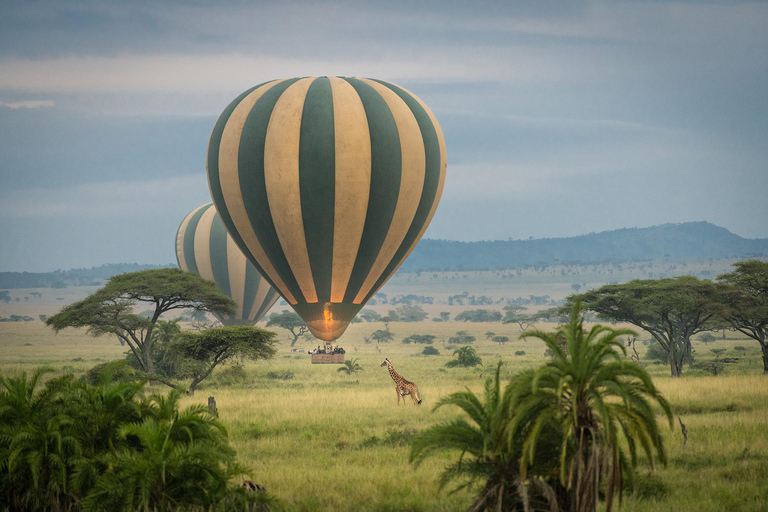 7-Day Serengeti Safari and Zanzibar Beach Tour
