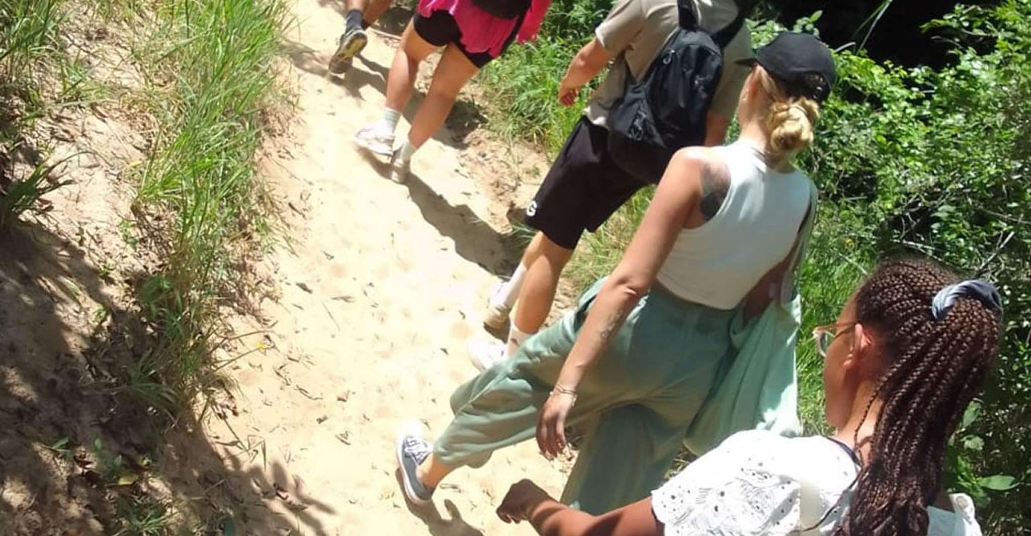 Full Day Shimba hills tour with Shifoga nature trail - Housity