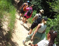 Volledige dag Shimba Hills Tour met Shifoga Nature Trail - Housity