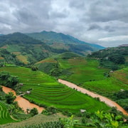 Mu Cang Chai: Motorbike Tour with Hmong Culture Workshop