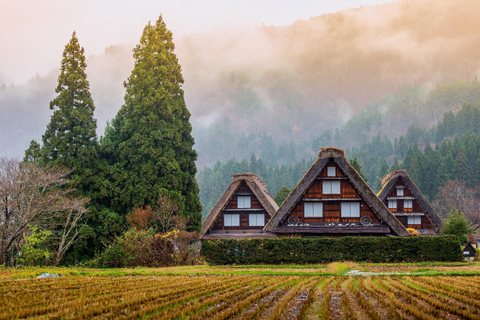 Privat Nagoya-tur med engelsk guide och upphämtning på hotelletSkräddarsydd privat rundtur i Nagoya