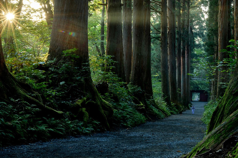 ناغانو: جولة خاصة في ضريح توجاكوشي، ساكي وزينكوجيالاستلام من مدينة ناغانو والمناطق المجاورة