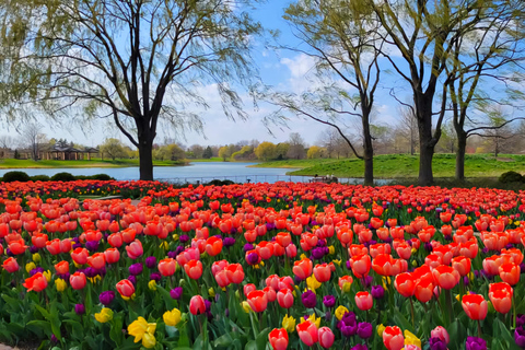 Chicago Suburbs Tour- The Hidden Gems