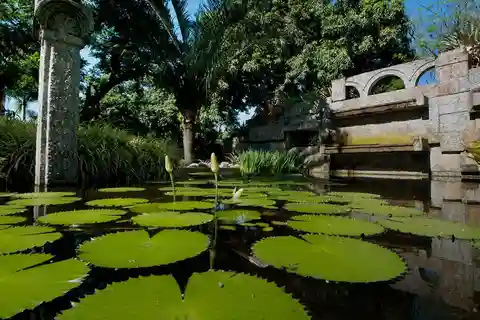 Río de Janeiro: Sitio Roberto Burle Marx Tour guiado