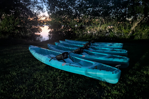 Cocoa Beach/Merritt Island:Bioluminescent kayak tour Single Kayak