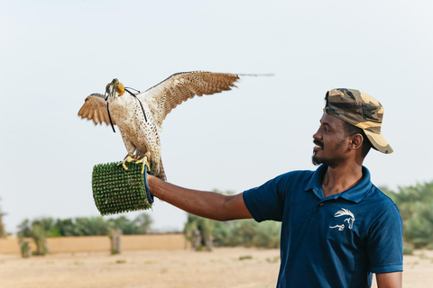 Dubai: Passeio de balão ao nascer do sol com passeio de camelo e café da manhã