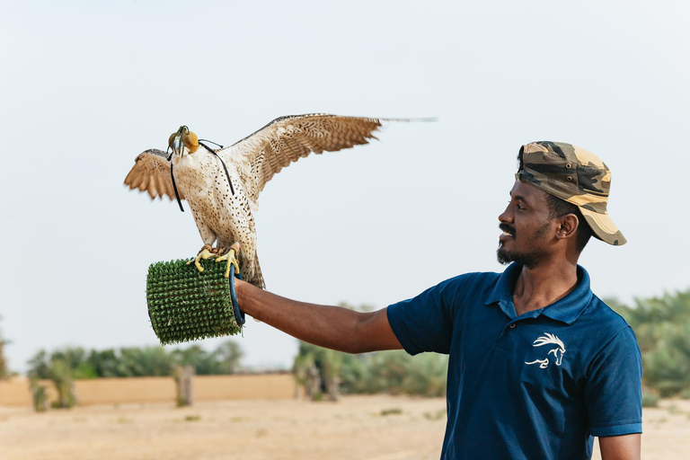 Dubai: Luftballongtur i soluppgången med kamelridning och frukost