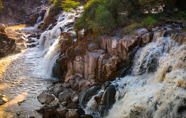 2-tägige Safari im Awash-Nationalpark mit Guide