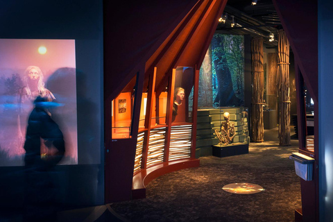 Estocolmo: ticket de acceso al Museo de Historia Sueca