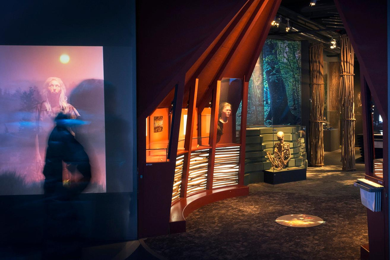 Estocolmo: ticket de acceso al Museo de Historia Sueca
