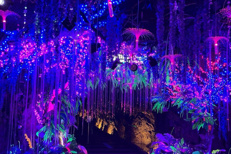 Bibliothèque Starfield Suwon+Forteresse de Hwaseong+Caverne de Gwangmyeong