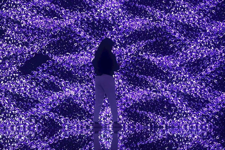 Osaka: MIRACLE WORLD Digital Art Admission Pass(E-ticket)