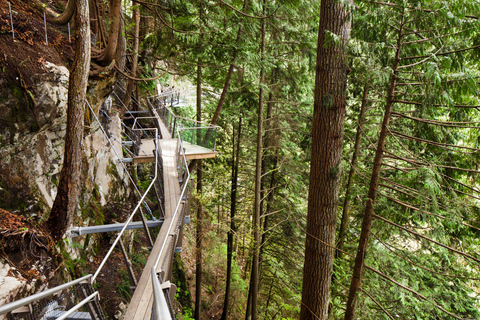 Vancouver Capilano Canyon ljus&amp;topp av julen i Grouse