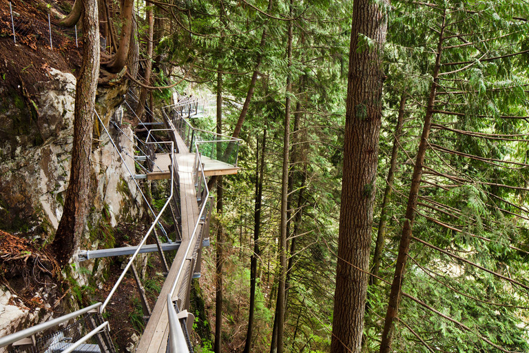 Vancouver Capilano Canyon light&amp;peak di Natale a Grouse